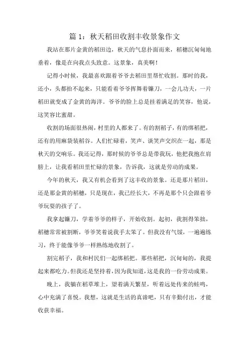 秋天稻田收割丰收景象作文精选10篇