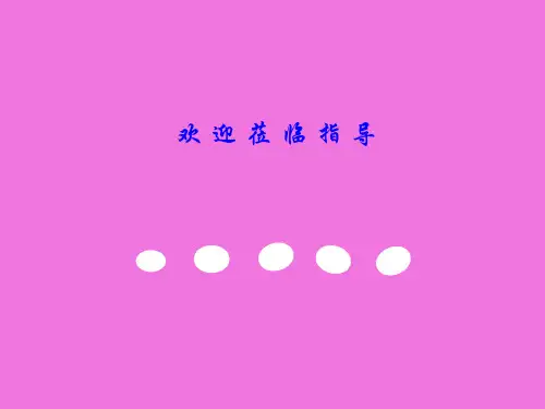 人教版高中数学必修一第二章函数复习优质PPT课件