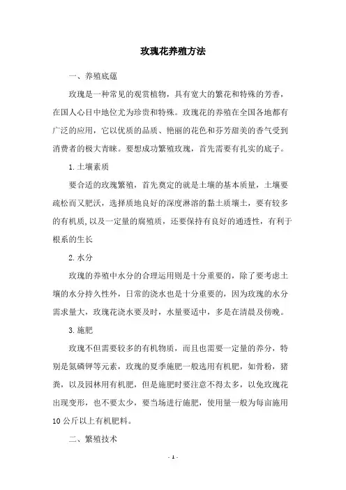 玫瑰花养殖方法