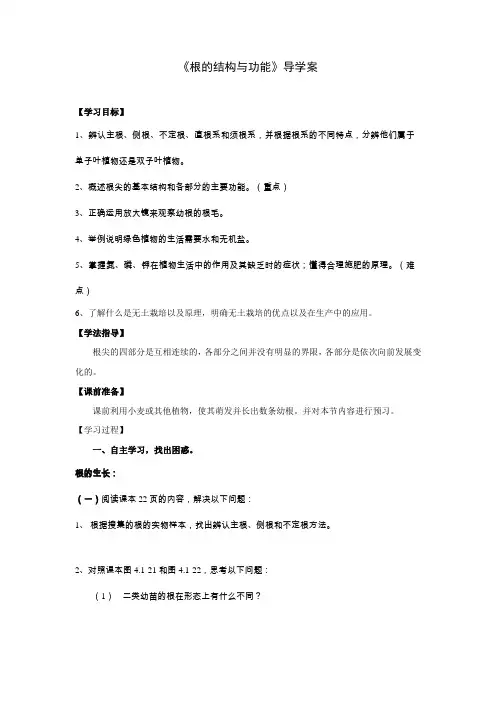 根的结构与功能