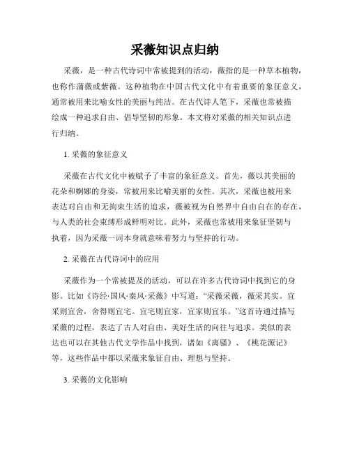 采薇知识点归纳