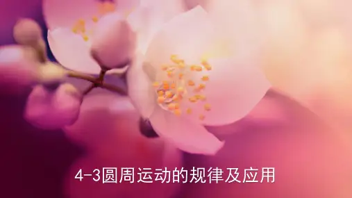 2018年高考物理总动员：4-3圆周运动的规律及应用