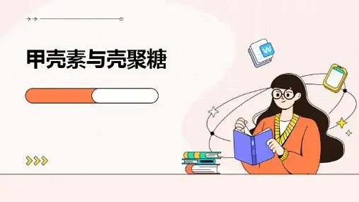 甲壳素与壳聚糖
