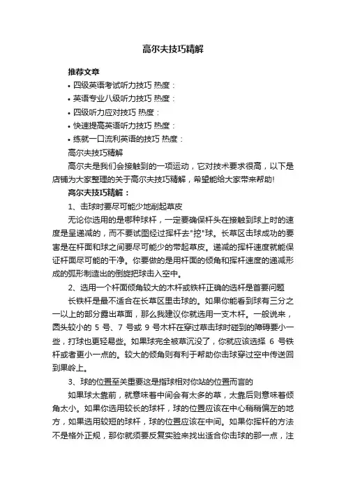 高尔夫技巧精解