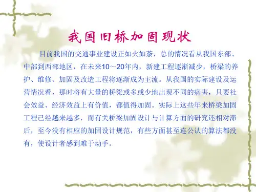 桥梁加固设计(1)