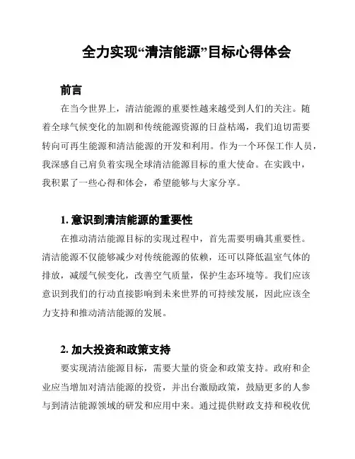 全力实现“清洁能源”目标心得体会