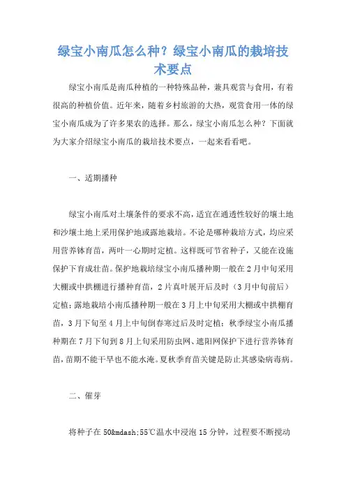 绿宝小南瓜怎么种？绿宝小南瓜的栽培技术要点