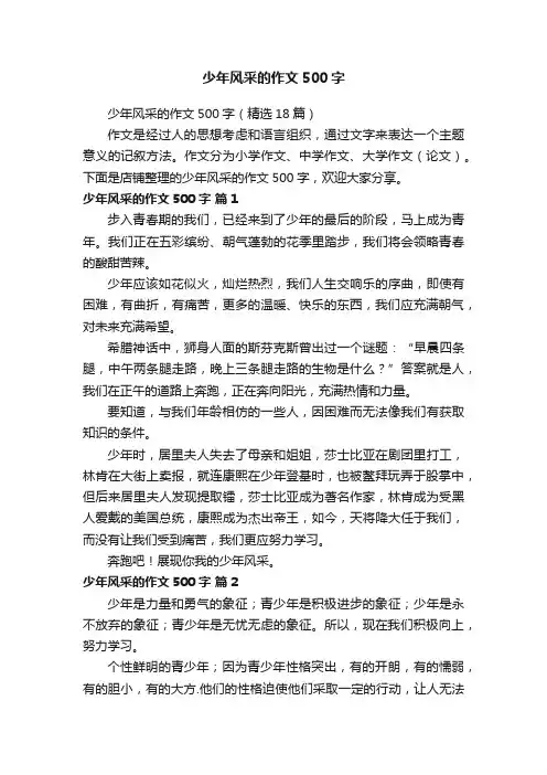 少年风采的作文500字