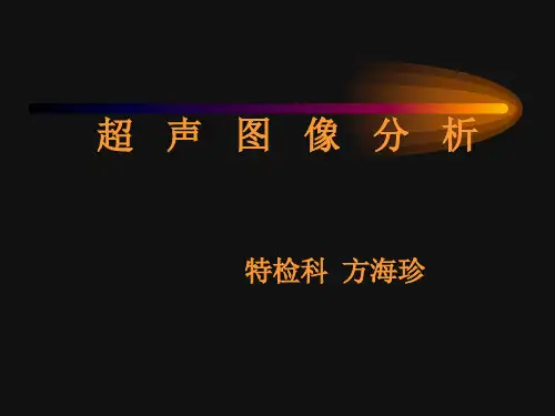 超声图像分析ppt课件