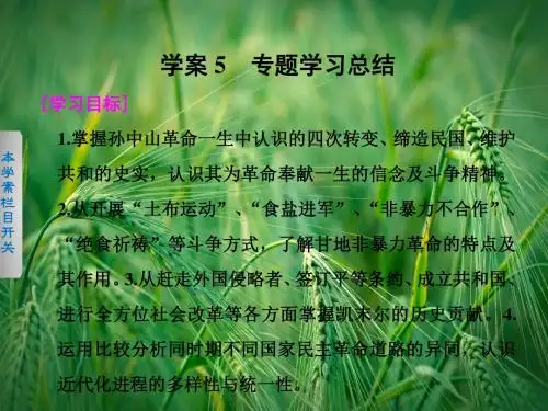 4.5 “亚洲觉醒”的先驱专题总结课件 人民版选修4课件