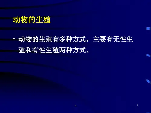 八年级生物动物的生殖(1)