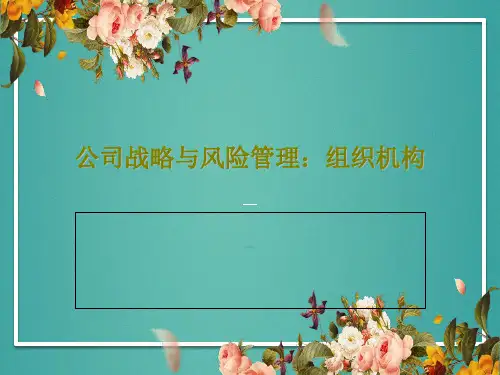 公司战略与风险管理：组织机构58页PPT