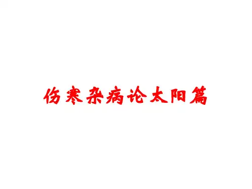 伤寒杂病论太阳篇