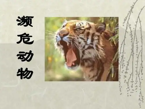 濒危动物