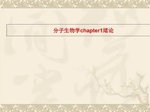 分子生物学chapter1绪论
