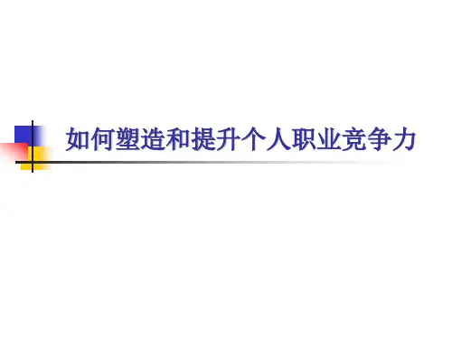 如何塑造和提升个人职业竞争力 PPT(共 42张)