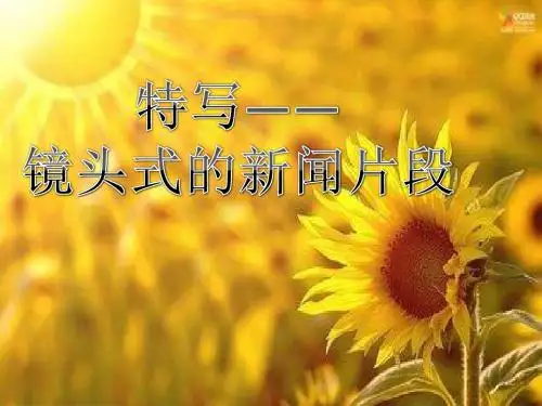 人教版高中语文选修《新闻阅读与实践10 梦碎雅典》(一等奖课件)