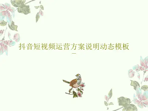 抖音短视频运营方案说明动态模板26页PPT