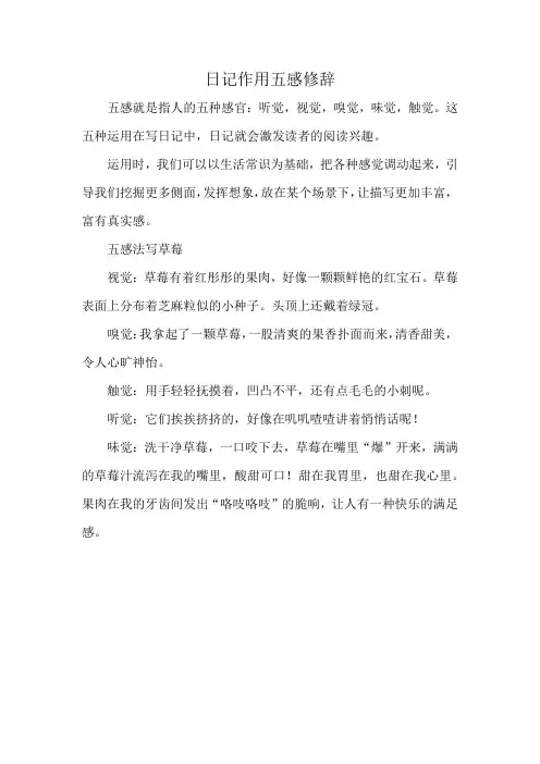 日记作用五感修辞