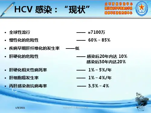 丙肝治疗专题知识宣讲培训课件
