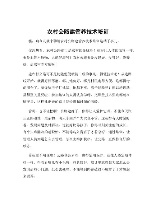 农村公路建管养技术培训