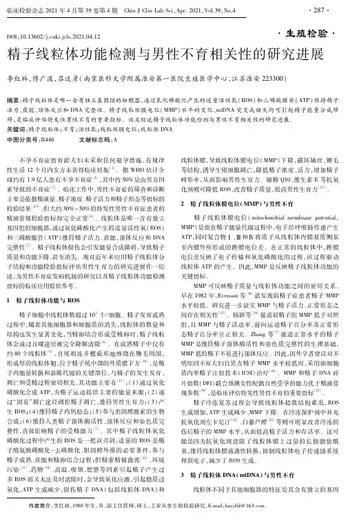 精子线粒体功能检测与男性不育相关性的研究进展