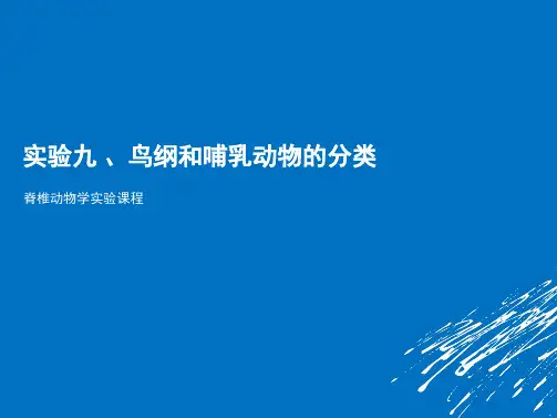 第09节 鸟纲和哺乳动物的分类