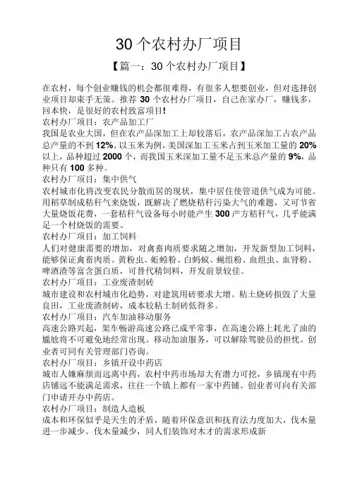30个农村办厂项目