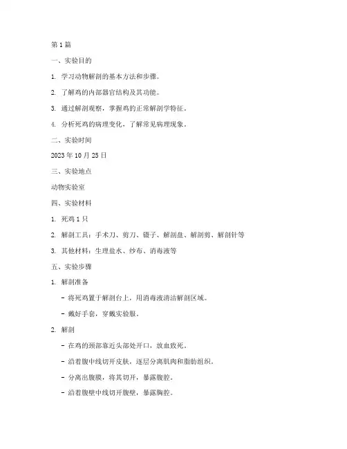 死鸡解剖病理实验报告(3篇)