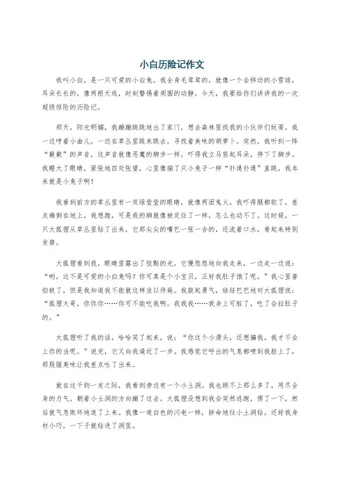 小白历险记作文