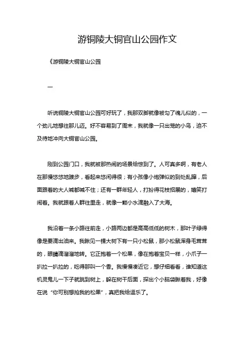 游铜陵大铜官山公园作文