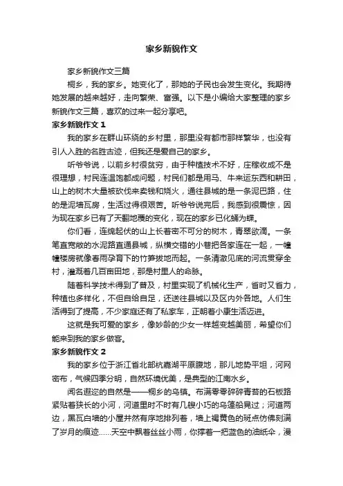 家乡新貌作文