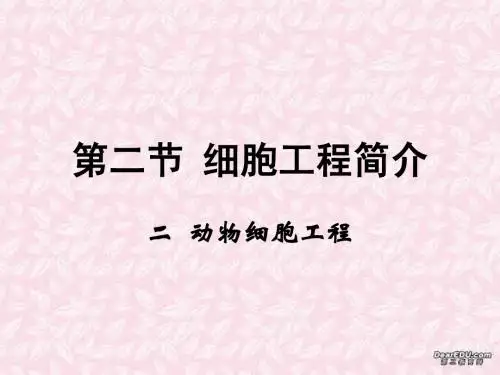 动物细胞工程