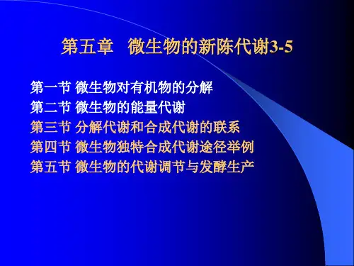第五章微生物的新陈代谢3-5