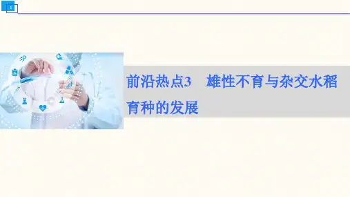 前沿热点3 雄性不育与杂交水稻育种的发展-2024届高三大二轮生物学 (新教材)