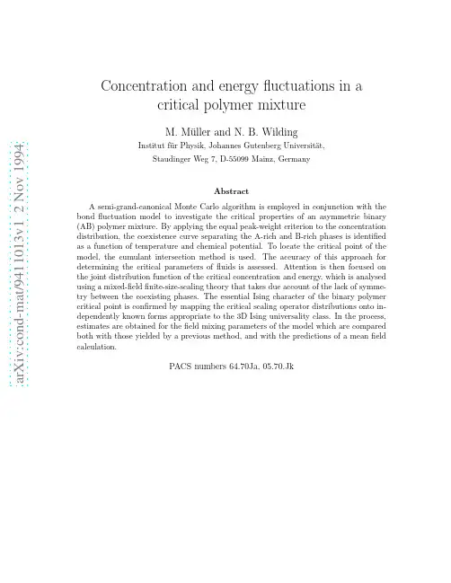 Concentration and energy fluctuations in a critical polymer mixture