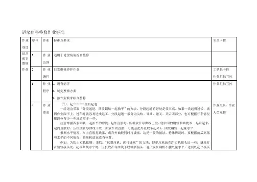 道岔病害整修作业标准