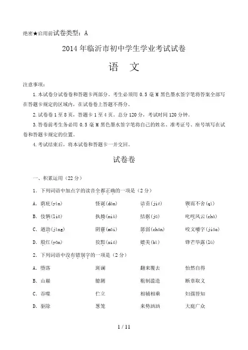 年山东省临沂市中考语文试题含答案