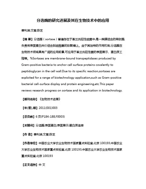 分选酶的研究进展及其在生物技术中的应用
