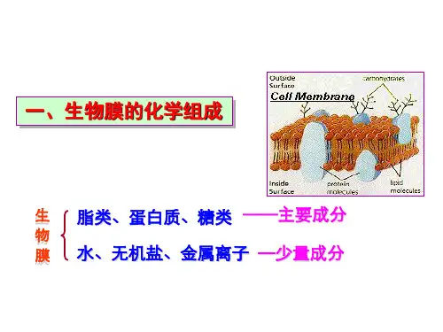 生物膜的化学组成和分子结构