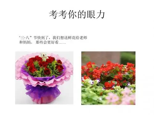 人教版小学美术二年级下册《漂亮的的包装纸》课件