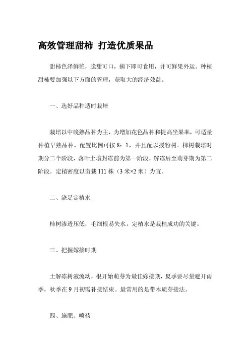 高效管理甜柿 打造优质果品