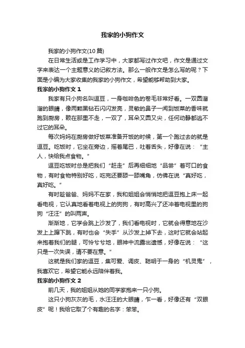 我家的小狗作文（10篇）