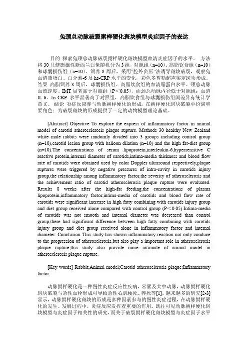 兔颈总动脉破裂粥样硬化斑块模型炎症因子的表达