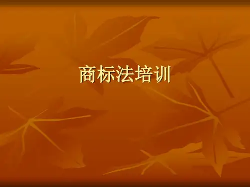 商标法培训ppt课件