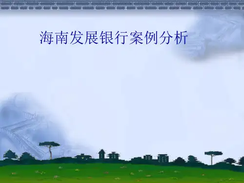 海南发展银行的案例分析