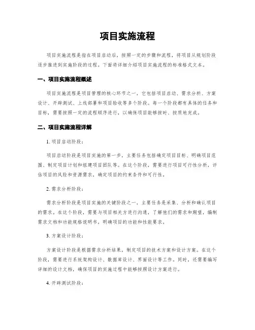 项目实施流程