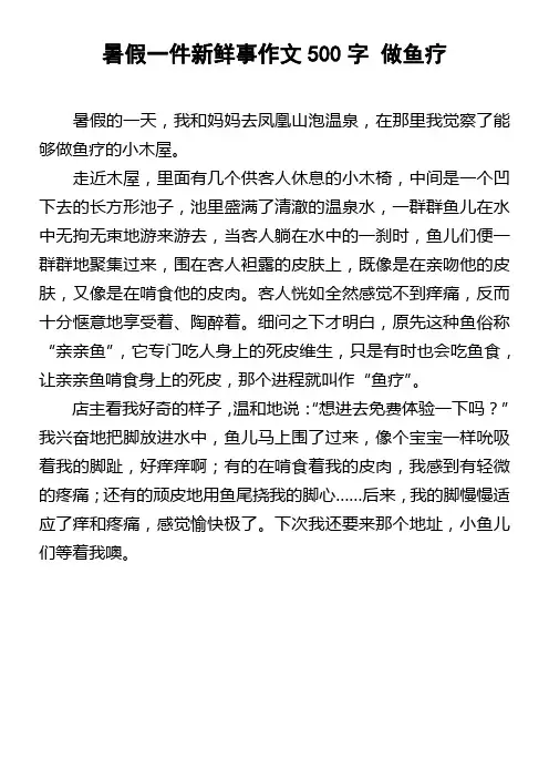 暑假一件新鲜事作文500字做鱼疗