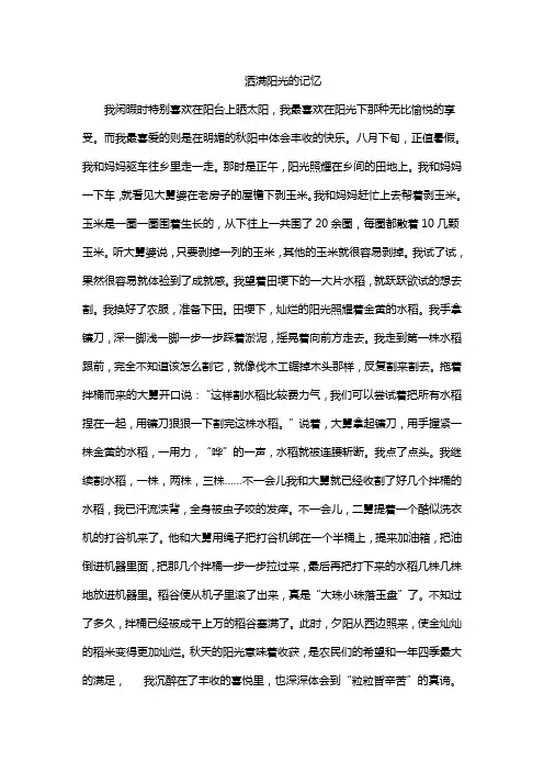 洒满阳光的记忆
