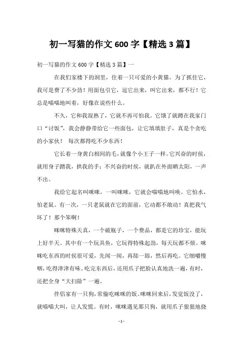 初一写猫的作文600字【3篇】